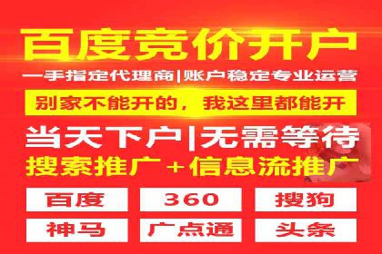 百度竞价广告在旅游行业的营销策略及效果